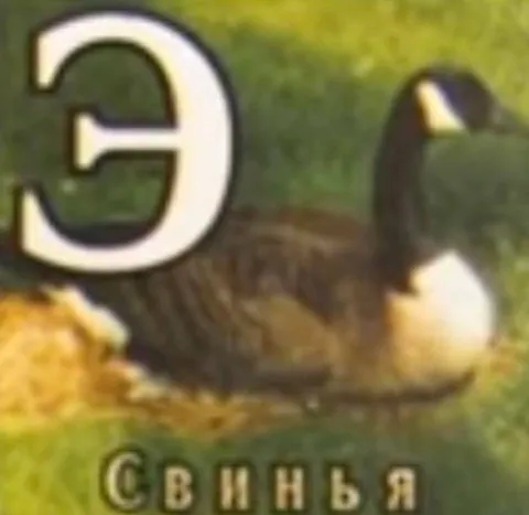 Эта свинья