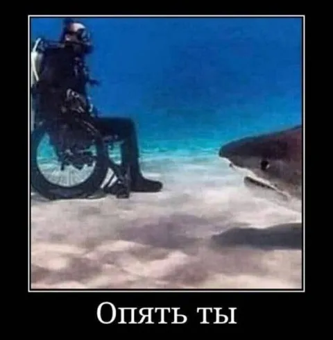 Опять ты — акула и инвалид