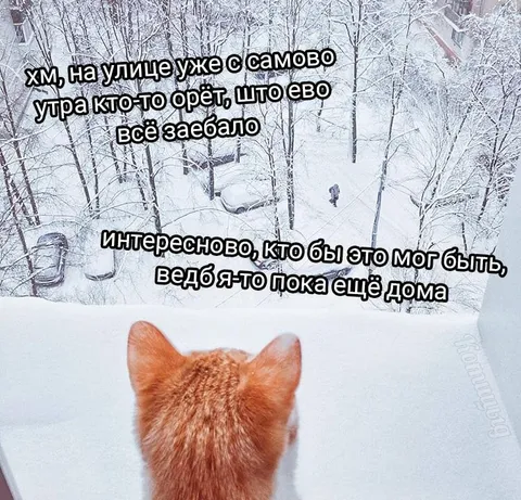 Кто-то орёт на улице