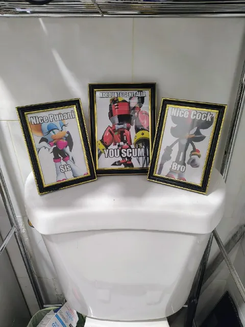 Adequate Genitalia Toilet Shrine