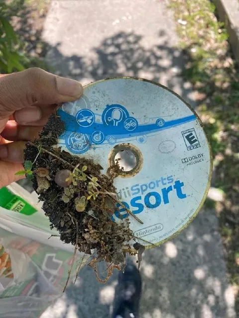 Wii Sports Resort in the Dirt