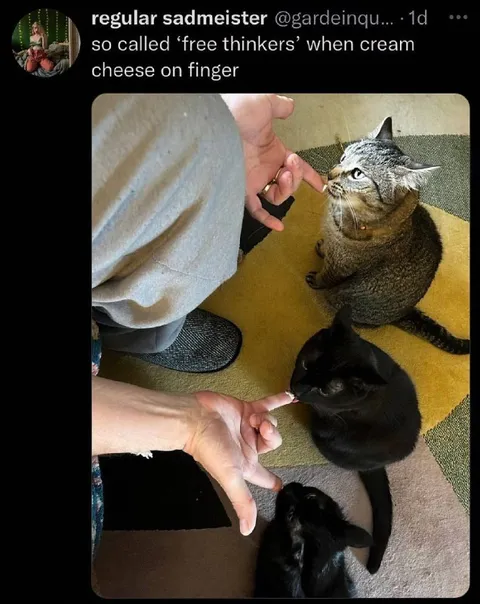 Free Thinkers Cream Cheese Cats