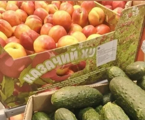 Казачий хуй среди огурцов