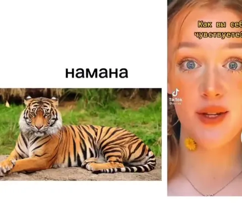 Привет, намана на самом деле