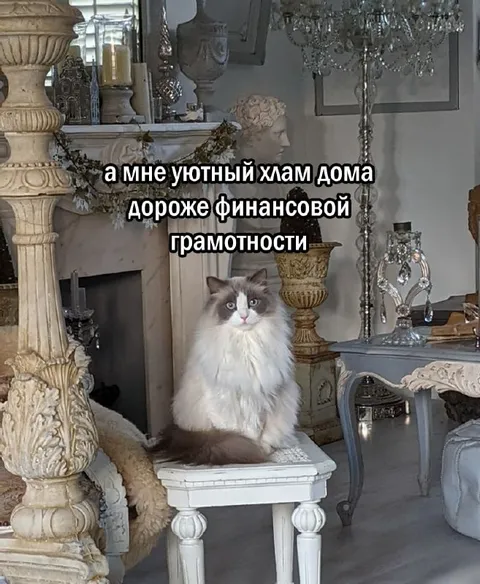 Уютный хлам дороже финансовой грамотности