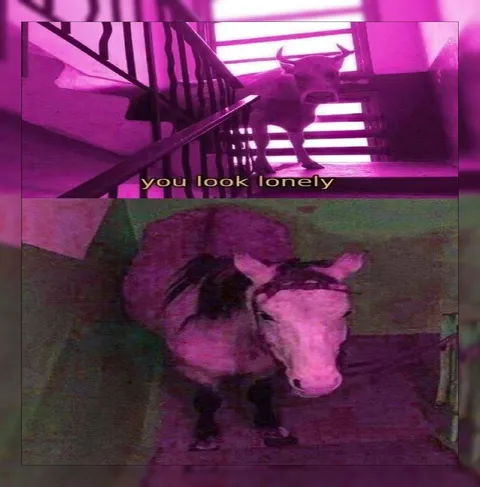 You Look Lonely Bull