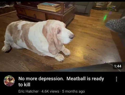 No More Depression Meatball Is Ready
