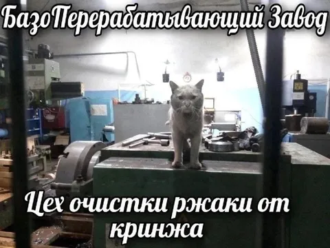 Цех очистки ржаки от кринжа