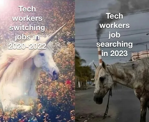 Tech Workers Job Search