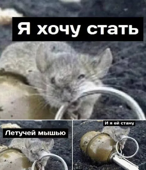 Я хочу стать летучей мышью