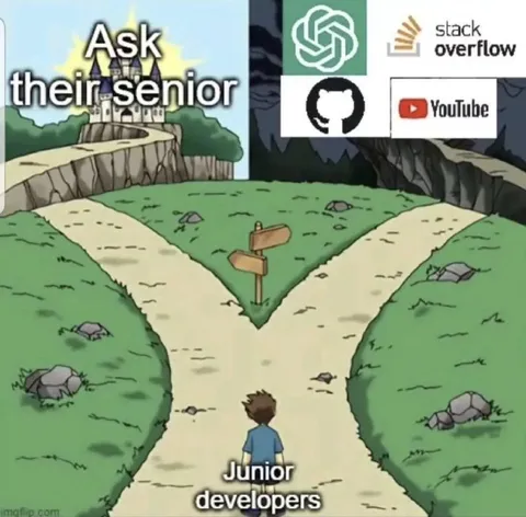 Junior Developers Ask Their Senior