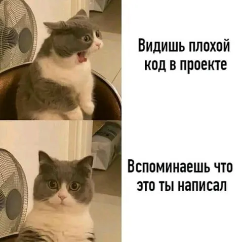 Кот увидел свой плохой код