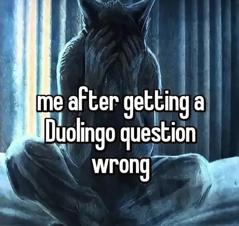 Duolingo Question Wrong