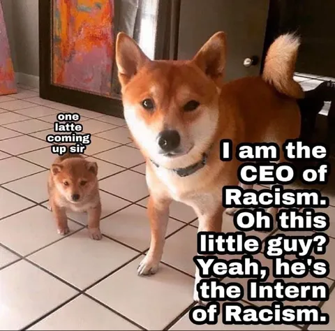 CEO of Racism Meets the Intern