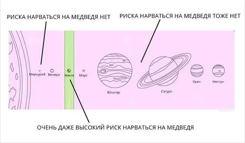 Риск нарваться на медведя