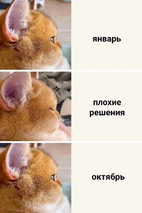 Январь, плохие решения, октябрь