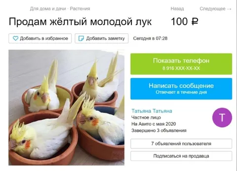Продам жёлтый молодой лук