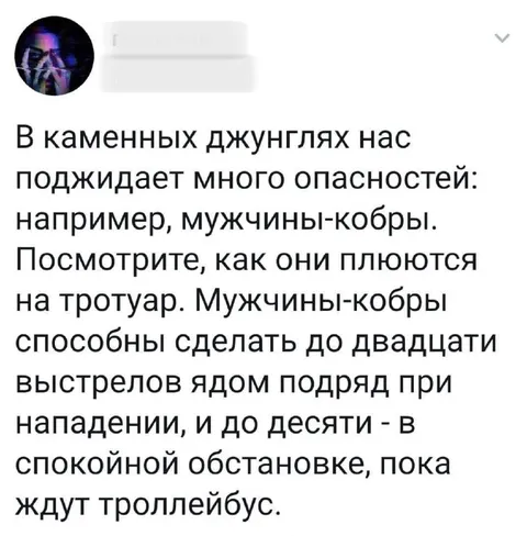 Мужчины-кобры ждут троллейбус