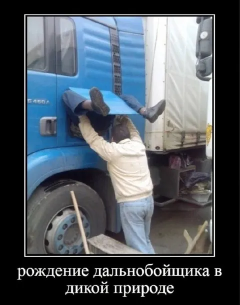 Рождение дальнобойщика в природе