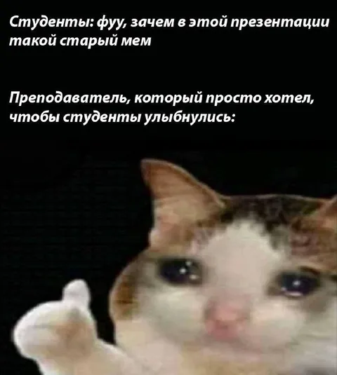 Преподаватель и плачущий кот
