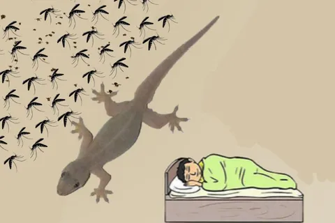 Ящерица и комары ночью