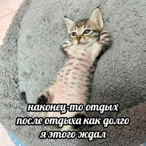 Наконец-то отдых после отдыха