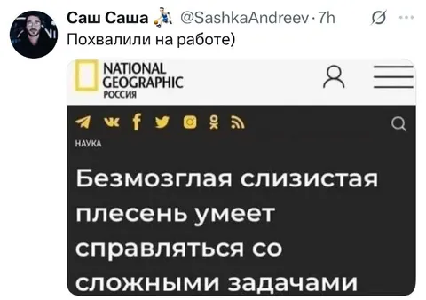 Похвалили на работе