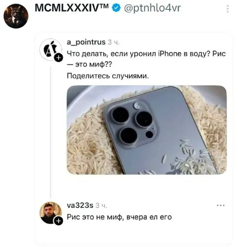 Рис после падения iPhone в воду