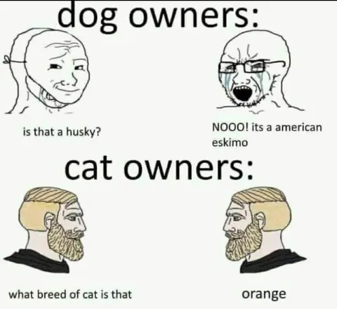 Dog Owners vs Cat Owners