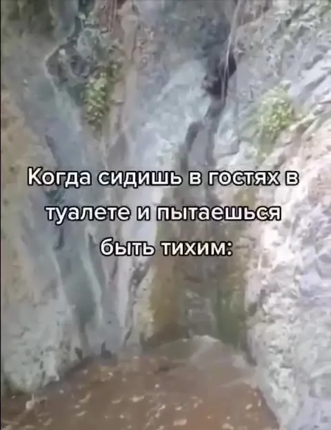 Тихо сидишь в гостях в туалете