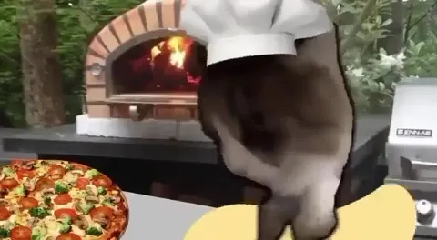 Кот-повар танцует у пиццы