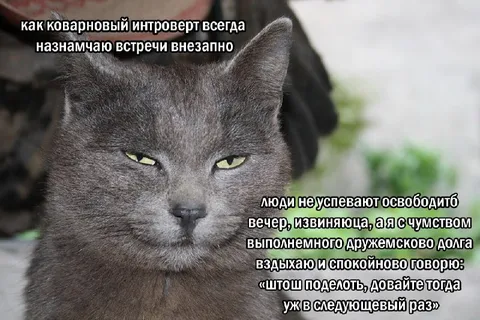 Коварный интроверт назначает встречи