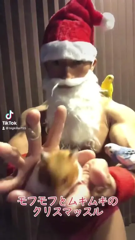 モフモフとムキムキのクリスマッスル