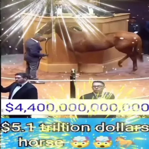 Five Trillion Dollar Horse