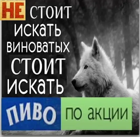 Не стоит искать виноватых