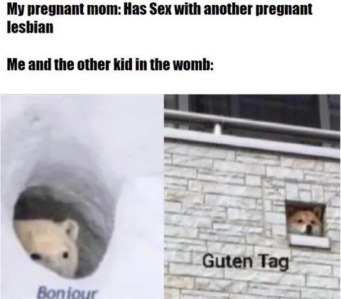 Pregnant Lesbian Womb Twins