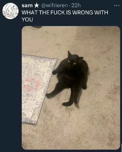 What the Fuck Is Wrong With You