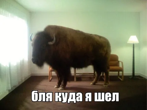 Бля, куда я шел