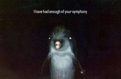 Owl Has Had Enough