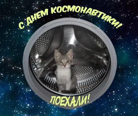 Котёнок в космической стиральной машине