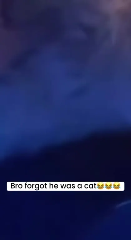 Bro Forgot He Was a Cat