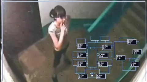 Five Nights at Freddy’s Security Camera Chaos
