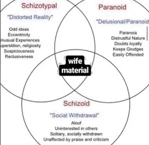 Wife Material Venn Diagram