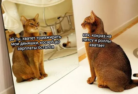Кот потратил деньги на пиццу