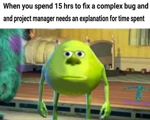 Complex Bug Explanation Meme