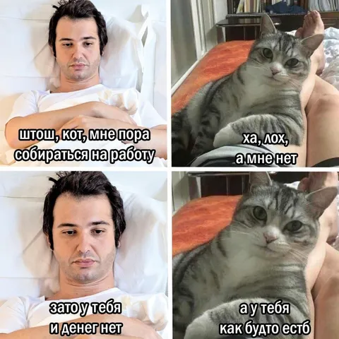 Коту на работу не надо