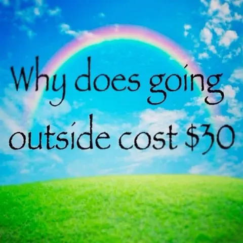 Why Does Going Outside Cost $30