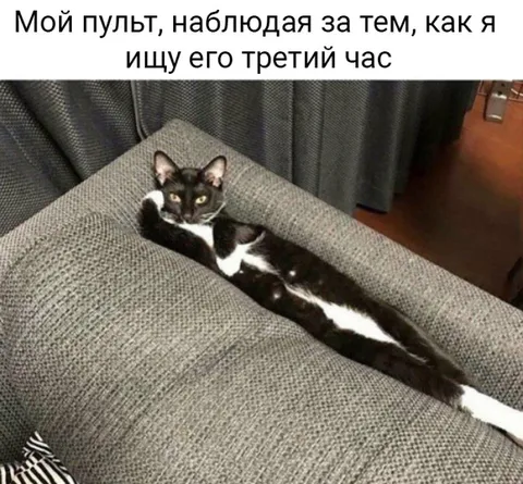 Пульт наблюдает за поисками