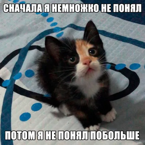 Сначала не понял, потом больше