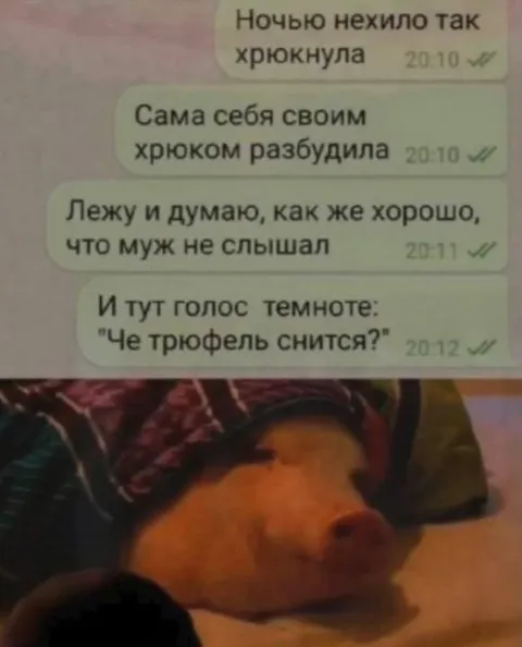 Когда хрюкнула во сне